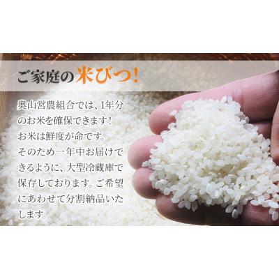 ふるさと納税 笠岡市 【令和8年産 先行受付】無洗米  ひのひかり 笠岡産 10kg 太陽の恵み O-16a_10kg_無 |  | 02