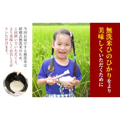ふるさと納税 笠岡市 【令和8年産 先行受付】無洗米  ひのひかり 笠岡産 10kg 太陽の恵み O-16a_10kg_無 |  | 03