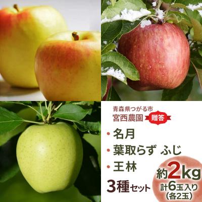 ふるさと納税 つがる市 [贈答用] 名月×葉取らずふじ×王林 [0682]