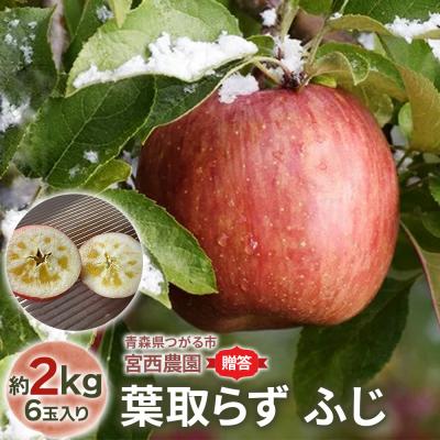ふるさと納税 つがる市 [贈答用] 葉取らずふじ[約2kg 6玉入り][0680]
