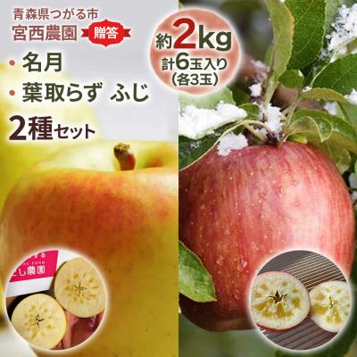 ふるさと納税 つがる市 [贈答用] 名月×葉取らずふじ [0681]