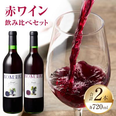 ふるさと納税 小牧市 小牧ワイナリ— 赤ワイン2本飲み比べセット(小牧産ぶどう100%使用) [026A08]