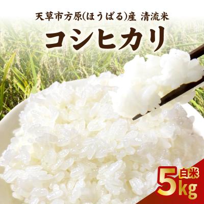 ふるさと納税 天草市 天草市方原産 白米(コシヒカリ)5キロ[先行受付]