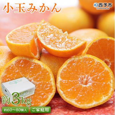 ふるさと納税 西予市 &lt;愛媛県西予市産 小玉みかん ご家庭用 約3kg&gt; 訳あり わけあり 果物