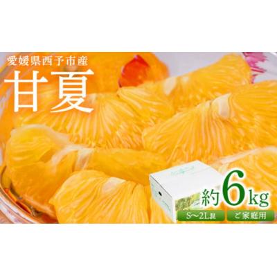 ふるさと納税 西予市 &lt;愛媛県西予市産 甘夏 ご家庭用 約6kg&gt; 訳あり S〜2Lサイズ混合 果物 くだもの フルーツ