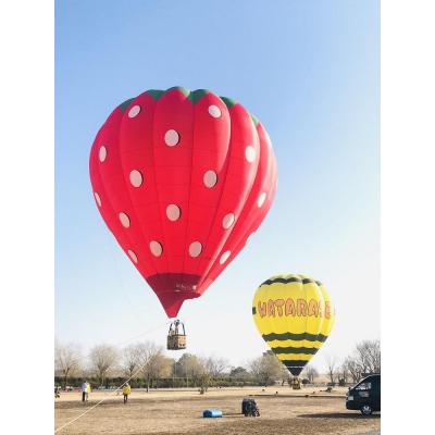 ふるさと納税 栃木市 熱気球搭乗体験(係留フライト)