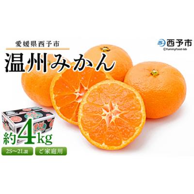 ふるさと納税 西予市 &lt;愛媛県西予市産 温州みかん ご家庭用 約4kg&gt; 訳あり わけあり 果物