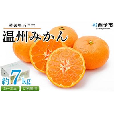 ふるさと納税 西予市 &lt;愛媛県西予市産 温州みかん ご家庭用 約7kg&gt; 訳あり わけあり 果物 フルーツ