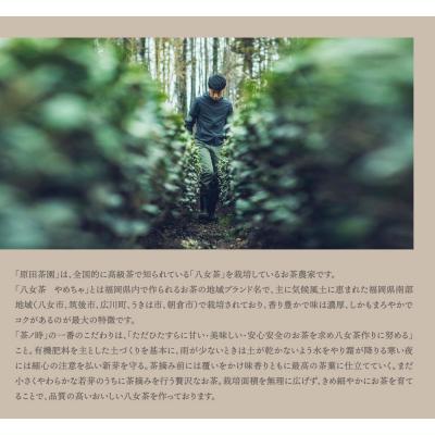 ふるさと納税 福智町 原田茶園 煎茶 華喜 200g |  | 03