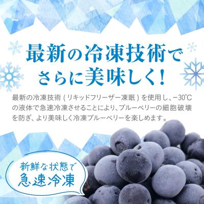 ふるさと納税 宗像市 栽培期間中農薬不使用!急速冷凍ブルーベリー 1.2