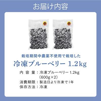 ふるさと納税 宗像市 栽培期間中農薬不使用!急速冷凍ブルーベリー 1.2