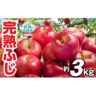 ふるさと納税 陸前高田市 [先行受付]完熟 りんご ふじ 約3kg 米崎りんご リンゴ 林檎 フルーツ 果物 ギフト 旬