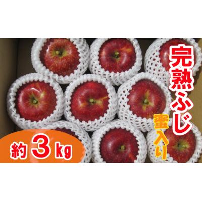 ふるさと納税 陸前高田市 [先行受付] 蜜入り りんご ふじ 約3kg 完熟 米崎りんご リンゴ 林檎 フルーツ 果物