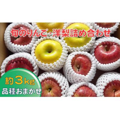ふるさと納税 陸前高田市 [先行受付] 旬のりんご(洋梨含む) 約3kg 品種おまかせ 1種〜2種 果物 フルーツ セット 旬