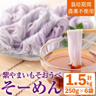 ふるさと納税 曽於市 紫やまいも[そおうべ]そーめん 6個入り