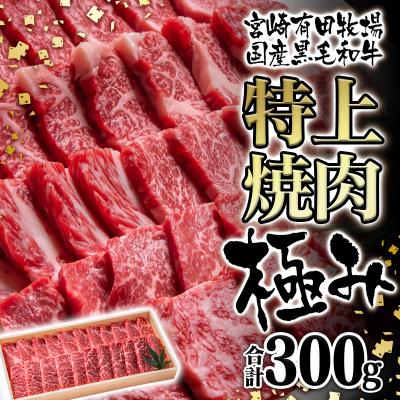 ふるさと納税 西都市 [宮崎有田牧場]黒毛和牛 特上焼肉セット300g 宮崎EMO 牛肉[2817]