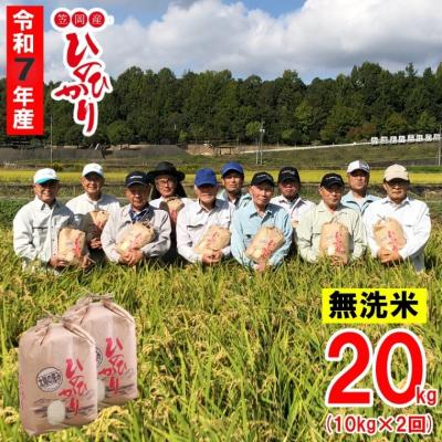 ふるさと納税 笠岡市 [令和7年産 先行受付]無洗米 ひのひかり 笠岡産 20kg 太陽の恵み O-07_20k_無洗米