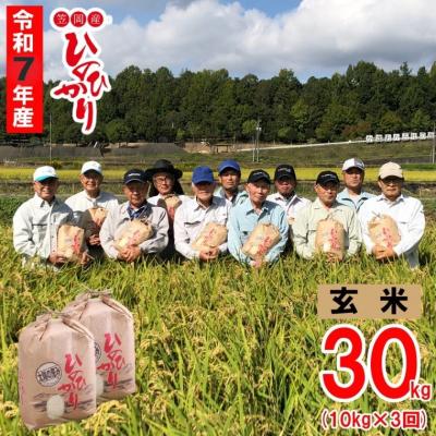 ふるさと納税 笠岡市 [令和7年産 先行受付]玄米 ひのひかり 笠岡産 30kg 太陽の恵み O-07_30k玄米