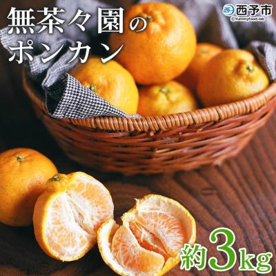 ふるさと納税 西予市 [先行予約]<無茶々園のポンカン 3kg> 果物 フルーツ 柑橘 愛媛 期間限定