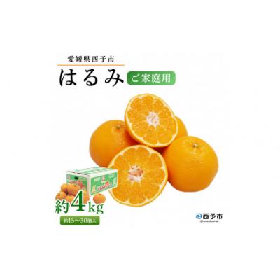 ふるさと納税 西予市 &lt;愛媛県西予市産 はるみ ご家庭用 約4kg&gt;約15〜30個入り 訳あり 果物 くだもの フルーツ