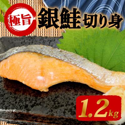 ふるさと納税 下関市 甘塩 銀鮭 切身 1.2kg 冷凍 片身分 鮭 サーモン 切り身 下関 山口