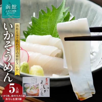 ふるさと納税 函館市 函館いかそうめん 5人前_HD151-004