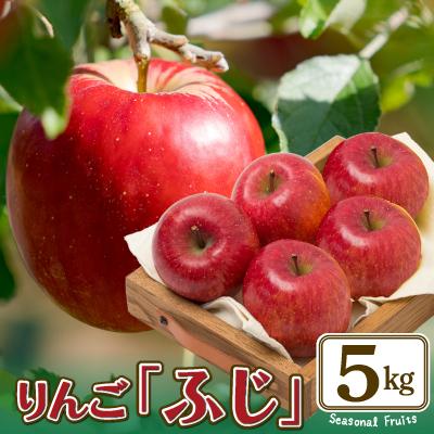 ふるさと納税 大館市 期間・数量限定[陽気な母さんの店]R7年産「ふじ」(5kg)