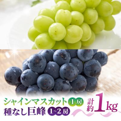 ふるさと納税 東御市 [先行受付2026年発送][さとのみ果樹園]シャインマスカット1房&amp;種なし巨峰1〜2房