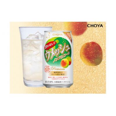 ふるさと納税 各務原市 チョーヤ CHOYA 酔わないウメッシュ缶 350ML×24本 【622】 | 