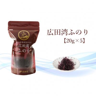 ふるさと納税 陸前高田市 広田湾漁協からお届け!ふのり 20g×5袋