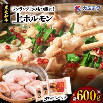 ふるさと納税 鹿児島市 ワンランク上のもつ鍋に!上ホルモン600g(200g×3パック) K002-004_01