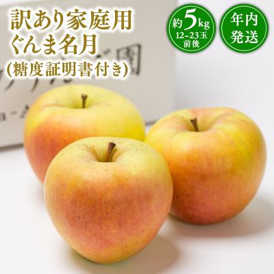 ふるさと納税 平川市 年内発送 [訳あり]家庭用ぐんま名月約5kg(糖度証明書付き) [那由多のりんご園・平川市産]