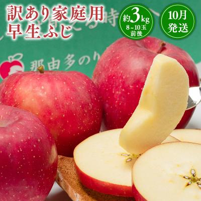 ふるさと納税 平川市 10月発送 [訳あり]家庭用早生ふじ 約3kg [那由多のりんご園・平川市産]