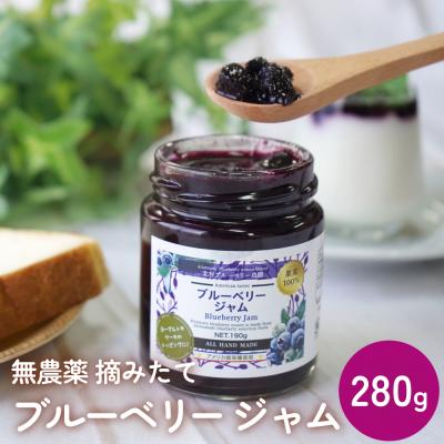 ふるさと納税 石巻市 < 先行予約 >ブルーベリー ジャム 280g 無添加 摘みたて 手作り 果実 アントシアニン