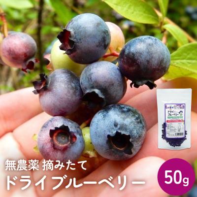 ふるさと納税 石巻市 < 先行予約 > ドライブルーベリー 50g 無添加 摘みたて 砂糖不使用 ドライフルーツ