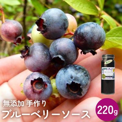 ふるさと納税 石巻市 < 先行予約 > ブルーベリーソース 220g 無添加 手作り フルーツソース 果実 さっぱり