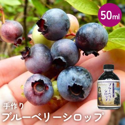 ふるさと納税 石巻市 ブルーベリー シロップ50ml 手作り 果汁 フルーツ かき氷 カクテル アレンジ