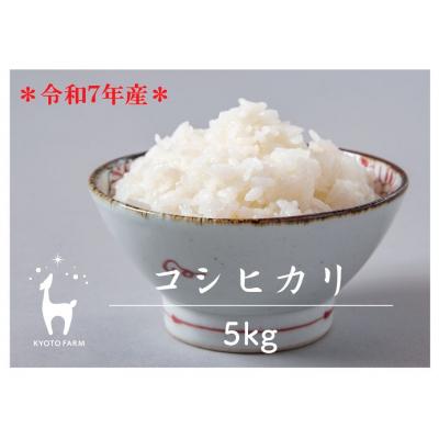 ふるさと納税 京都市 [京都ファーム]令和7年産 京都ファームのコシヒカリ 精米5kg