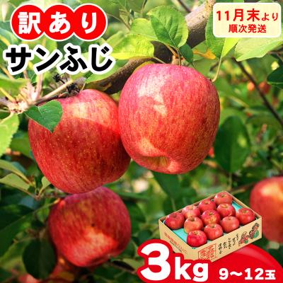 ふるさと納税 つがる市 家庭用りんご サンふじ 3kg [0838]