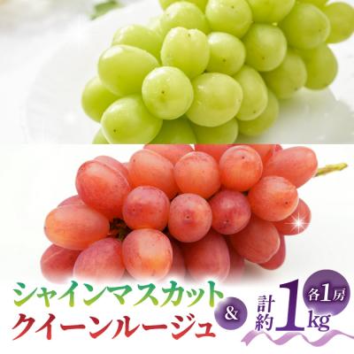 ふるさと納税 東御市 [先行受付2026年発送][さとのみ果樹園]シャインマスカット&amp;クイーンルージュ(R)各1房