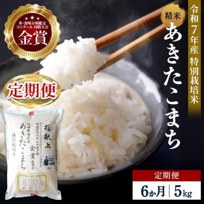 ふるさと納税 湯沢市 [定期便6ヶ月][令和7年産]特別栽培米あきたこまち精米5kg[E2107]
