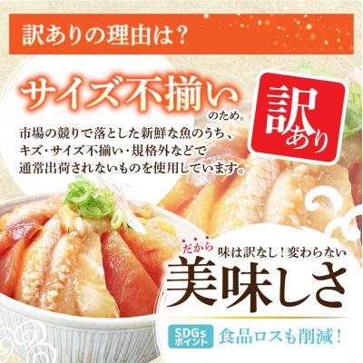ふるさと納税 田野町 【四国一小さなまち】これが魚屋の漬け丼だ!〜海鮮ミックス〜80g×5パック |  | 03