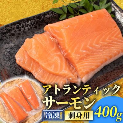 ふるさと納税 下関市 訳あり サーモンブロック 400g 冷凍 下関 山口 EY029-x