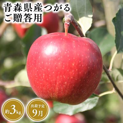 ふるさと納税 平川市 9月発送 贈答用つがる3kg [そと川りんご園・9月・りんご・つがる・3kg]