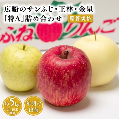 ふるさと納税 平川市 年明け 贈答規格 広船のサンふじ・王林・金星約5kg詰合せ「特A」