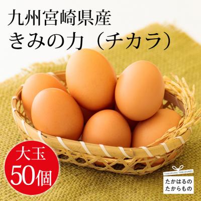 ふるさと納税 高原町 [大玉の赤たまご] 宮崎県産きみの力(チカラ)Lサイズ卵 50個