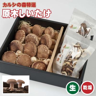 ふるさと納税 新得町 カルシの森の特選原木椎茸(生・乾)詰め合わせセット