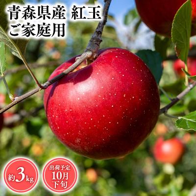 ふるさと納税 平川市 10月発送 [訳あり]家庭用紅玉3kg [そと川りんご園・10月・りんご・紅玉・3kg]