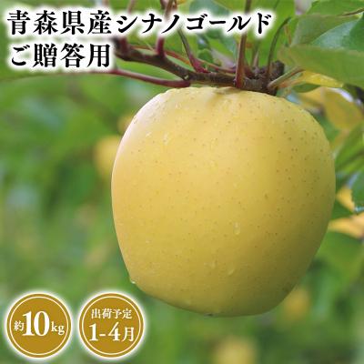 ふるさと納税 平川市 1月〜4月発送 贈答用シナノゴールド10kg [そと川りんご園]
