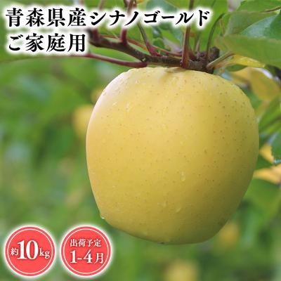 ふるさと納税 平川市 2026年産 1月〜4月発送 [訳あり]家庭用シナノゴールド10kg